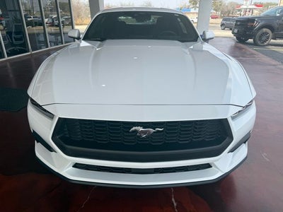 2024 Ford Mustang EcoBoost
